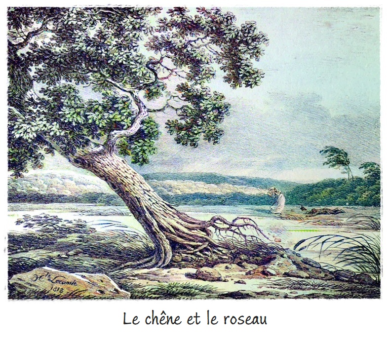 le-chene-et-le-roseau-1818-h-lecomte-col Question de début de rendez-vous commercial — amorçage émotionnel et confiance avec la NeuroVente